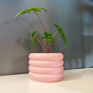 NWOT Soft Pink 3" Bubble Pot